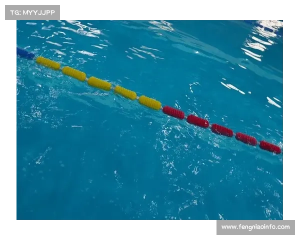 新增50米项目对游泳训练体系带来的影响与挑战